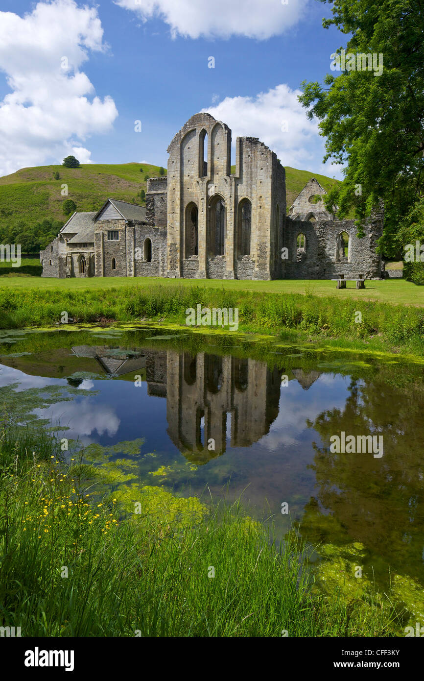 Valle Crucis, ruined Cistercian abbey, in Llantysilio, near Llangollen, Denbighshire, Wales, United Kingdom, Europe Stock Photo