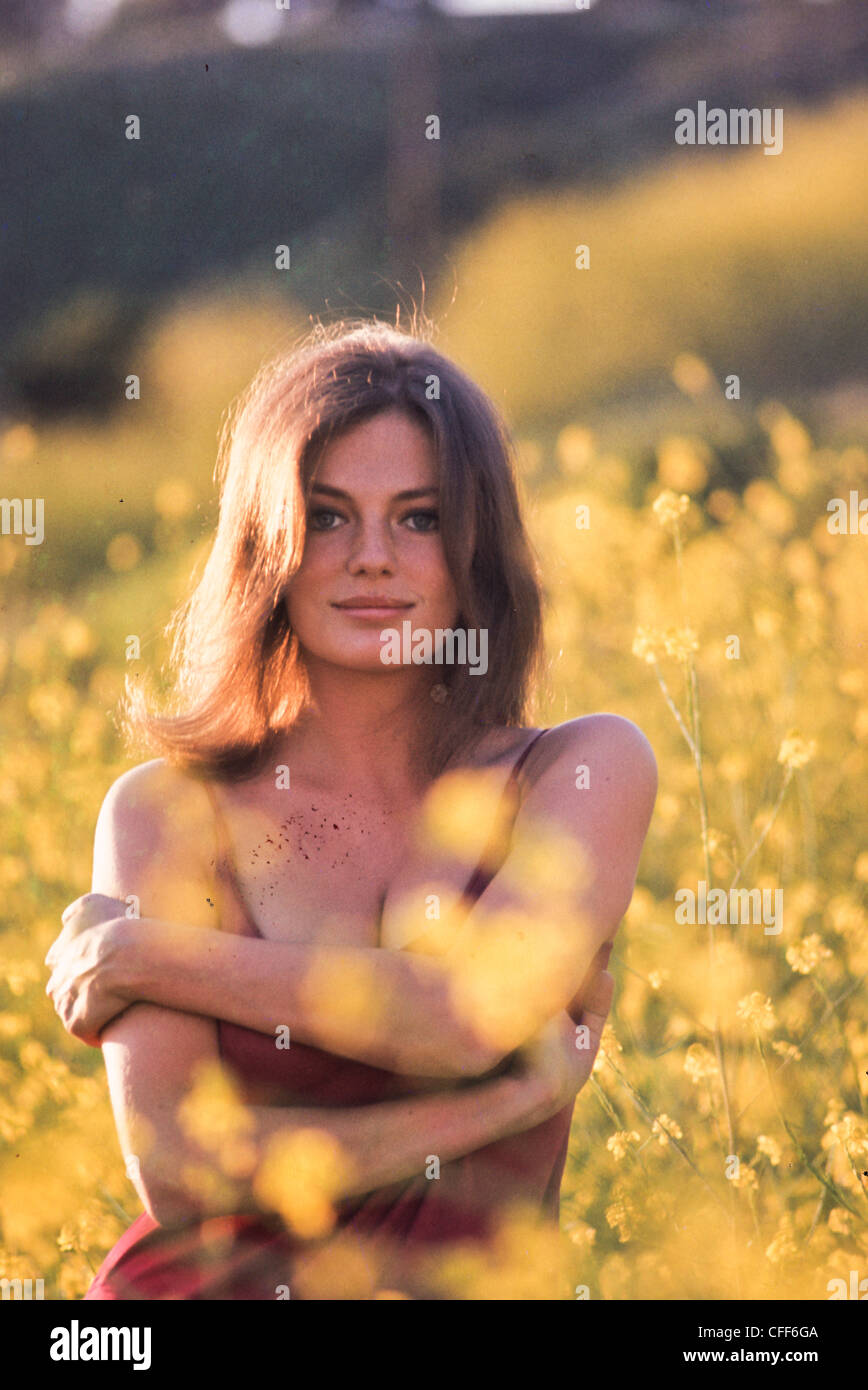 Jacqueline Bisset Stock Photo Alamy