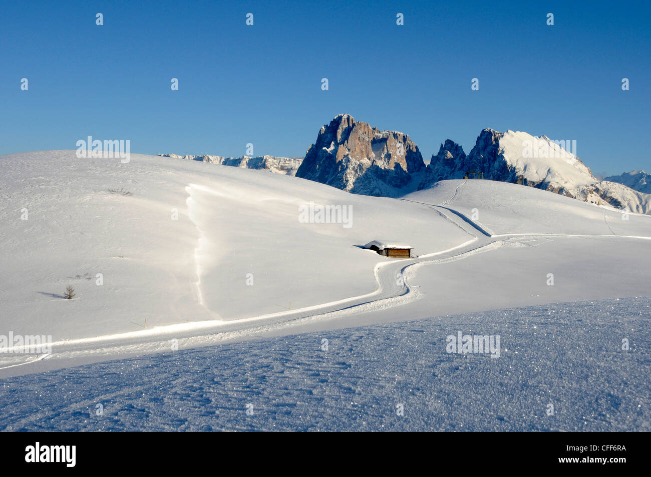 Cross country skiing trail in sunlit winter landscape, Alpe di Siusi, Puflatsch, Alto Adige, South Tyrol, Italy, Europe Stock Photo