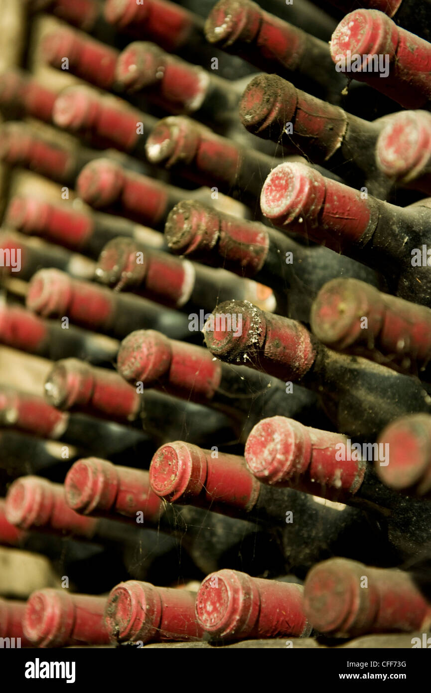 Dusty wine bottles at winery St. Pauls, Eppan an der Weinstrasse, Alto
