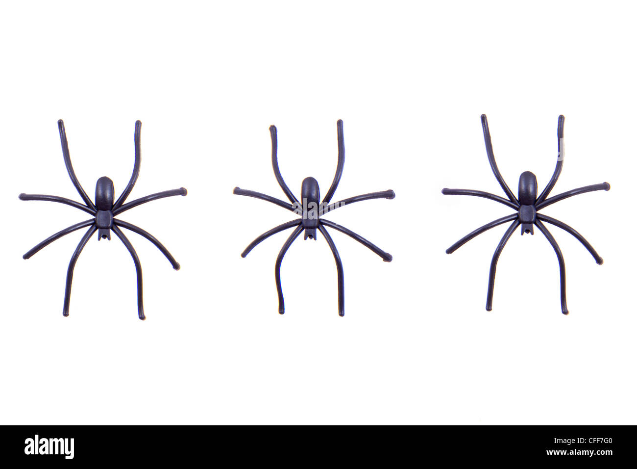 Three black spiders in a row isolated over white Stock Photo