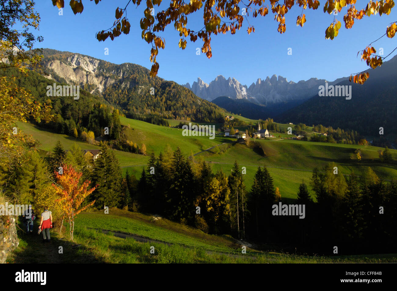 View of St. Magdalena at valley of Villnoess in autumn, Dolomites, South Tyrol, Alto Adige, Italy, Europe Stock Photo