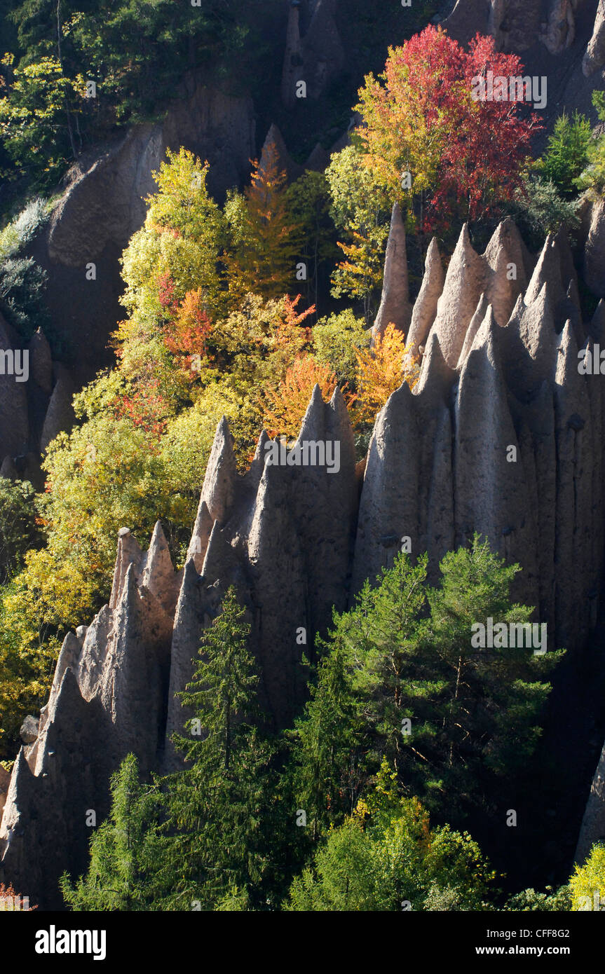 Earth pyramids amidst autumnal trees, Soprabolzano, Ritten, South Tyrol, Alto Adige, Italy, Europe Stock Photo