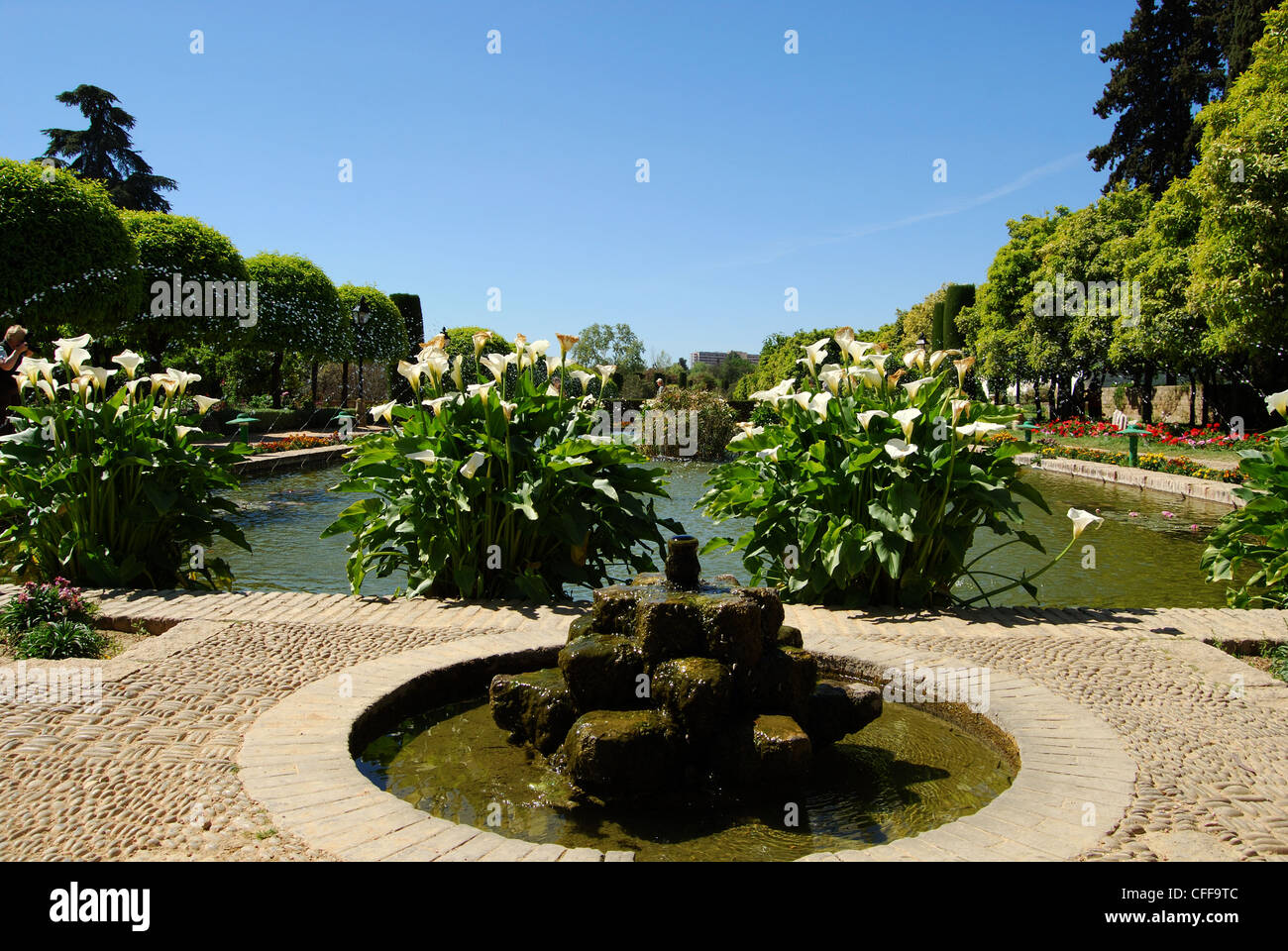 Water gardens with the Water gardens with the Palace Fortress of the Christian Kings, Cordoba, Andalucia, Spain, Europe. Stock Photo