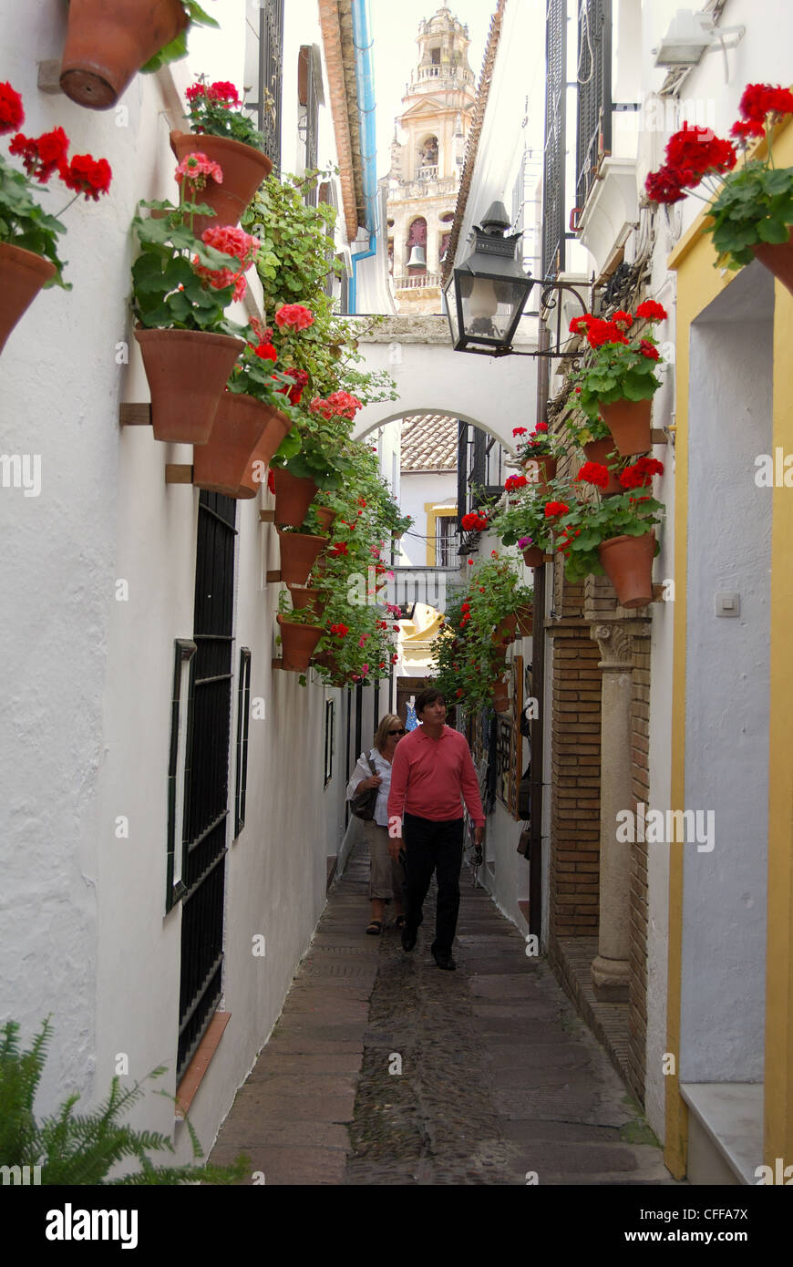 Street of the flowers (Calle de las Flores) with the Mezquita bell ...