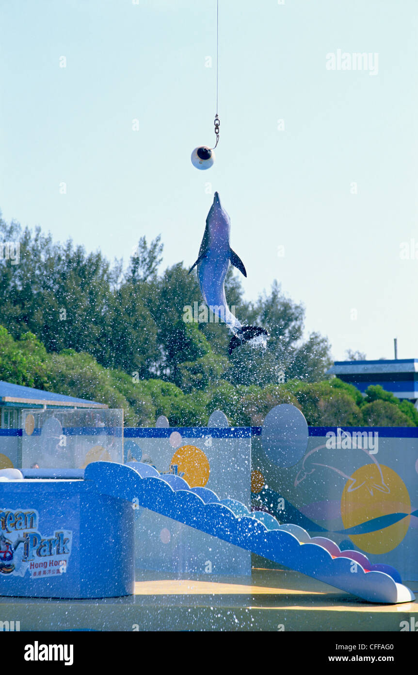China, Hong Kong, Ocean Park, Dolphin Show Stock Photo Alamy