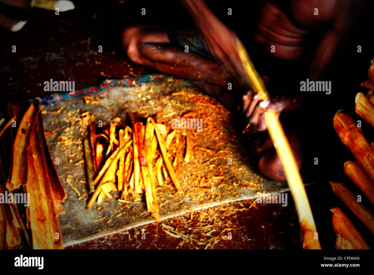 Sri lanka cinnamon hires stock photography and images Alamy