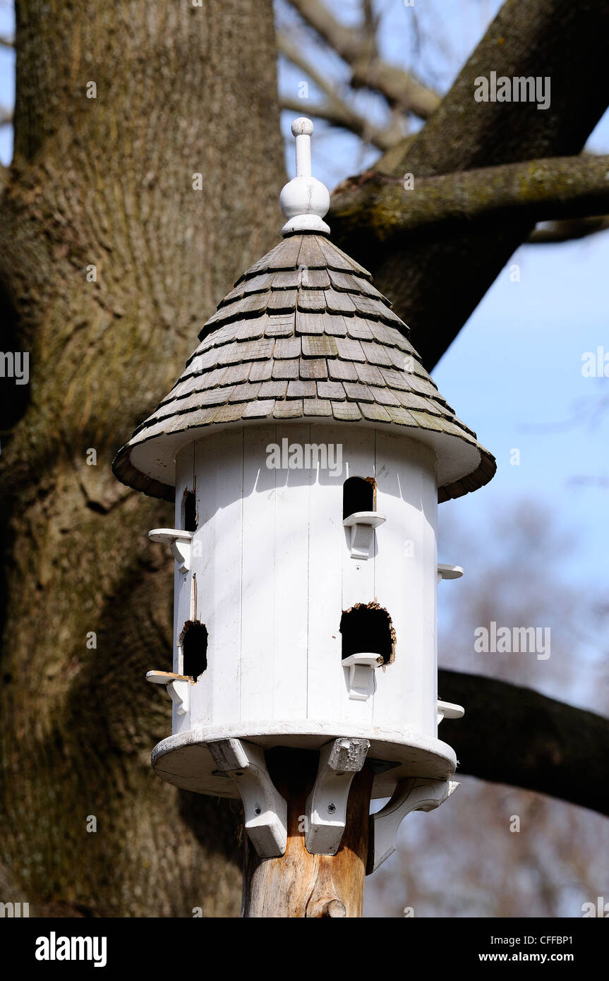 Unique bird house atop stripped pole Stock Photo - Alamy