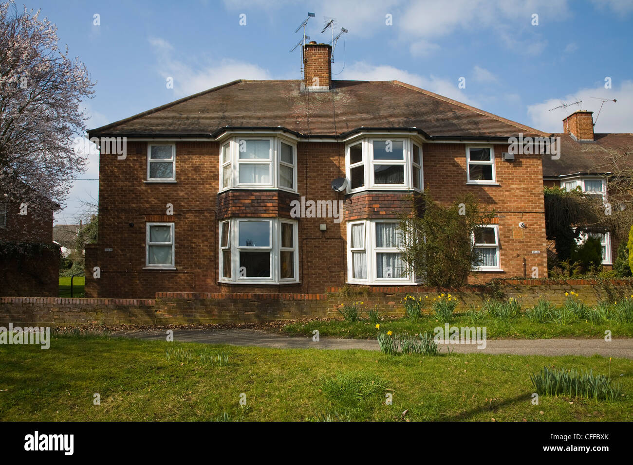 Semi detached council houses Geneva Road town centre estate, Ipswich, Suffolk, England Stock Photo