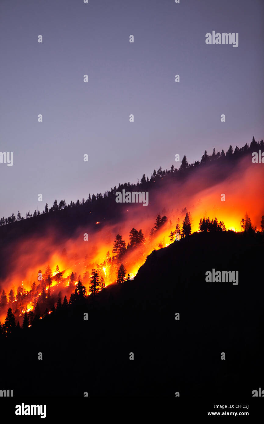 A forrest fire burning the side of a mountain in Montana. Stock Photo