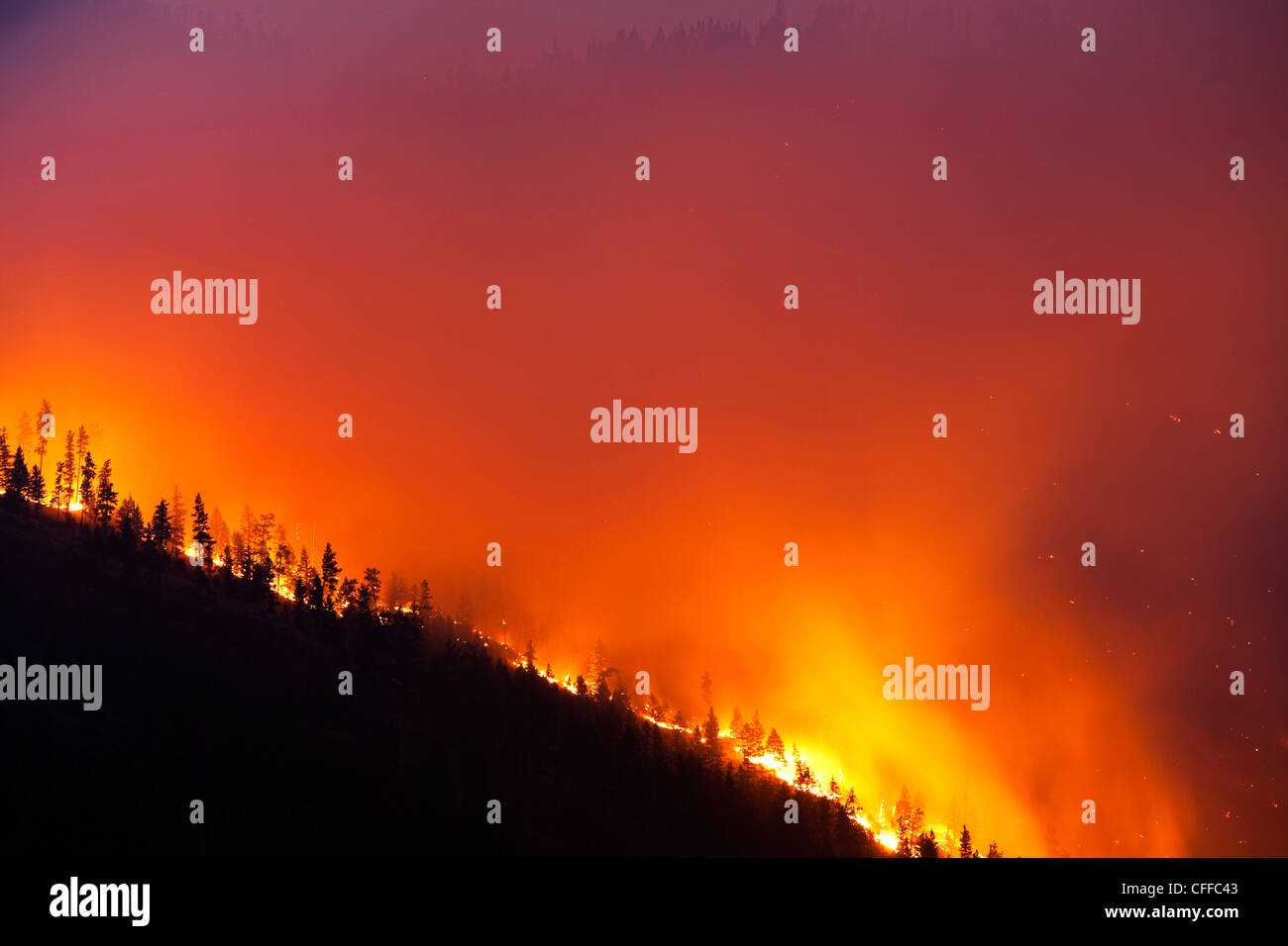 A forrest fire burning the side of a mountain in Montana. Stock Photo