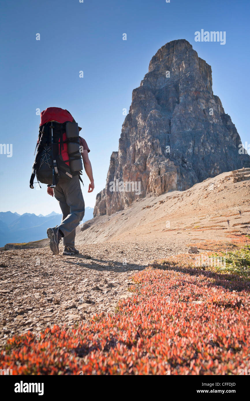 A man is hiking on Castle Mountain, Banff National Park, Alberta, Canada. Stock Photo