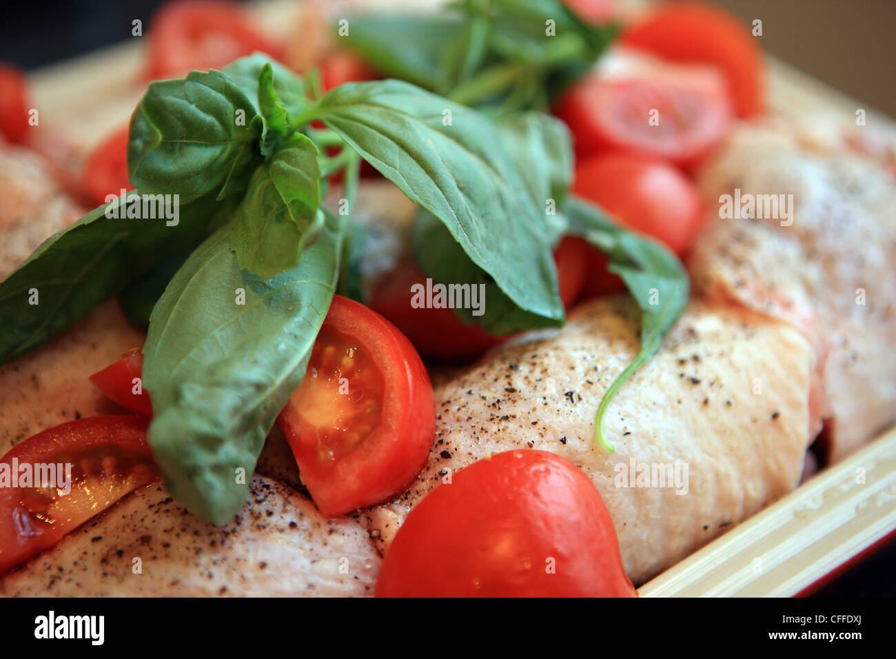 Raw chicken thighs with tomatoes and basil ready to be cooked Stock