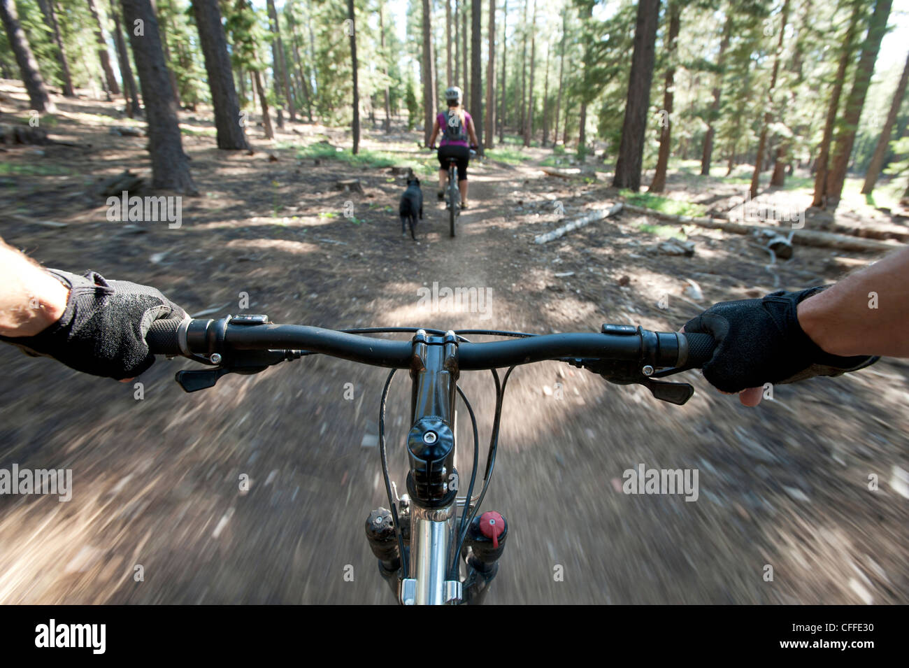 Mountain biking on a single track mountain path Stock Photo Alamy