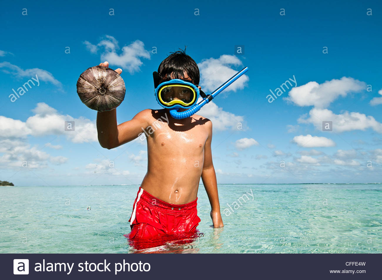 Download Page 2 Snorkel Mask High Resolution Stock Photography And Images Alamy PSD Mockup Templates