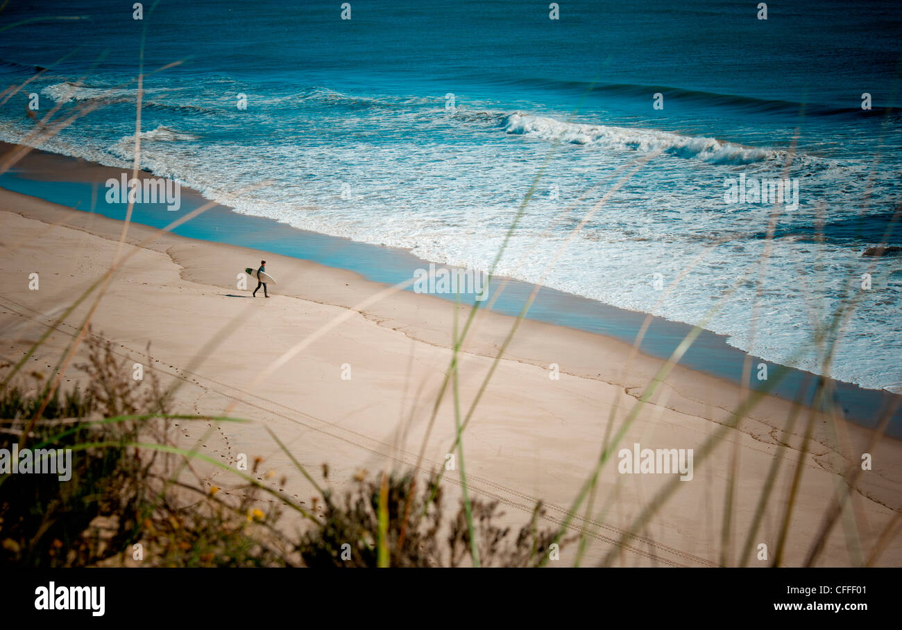 Surfer beach cape cod hi-res stock photography and images - Alamy