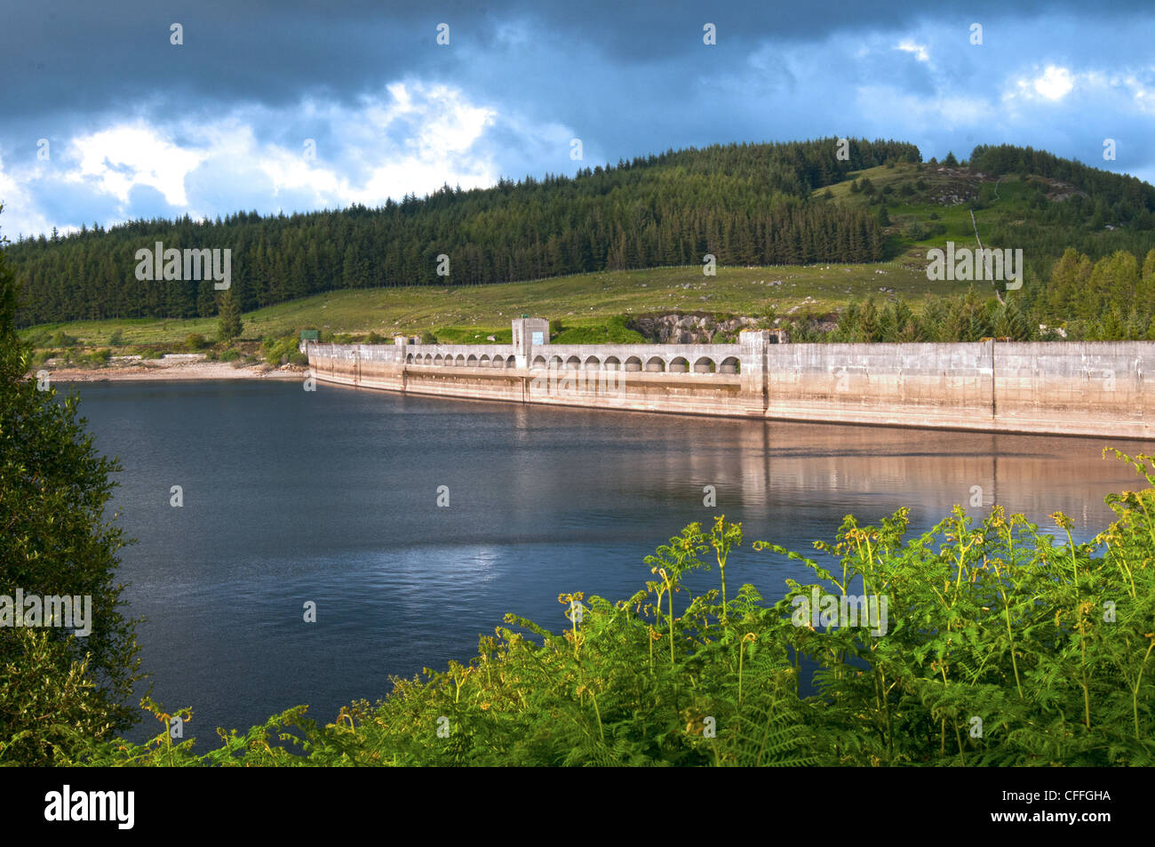 dumfries and galloway scotland clatteringshaws dam galloway forest park Stock Photo Alamy