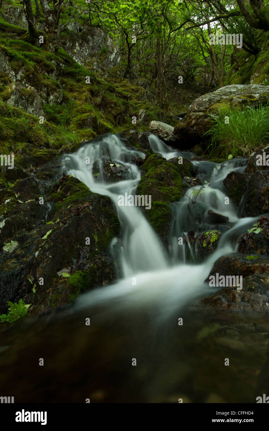 Woodland waterfall hi-res stock photography and images - Alamy
