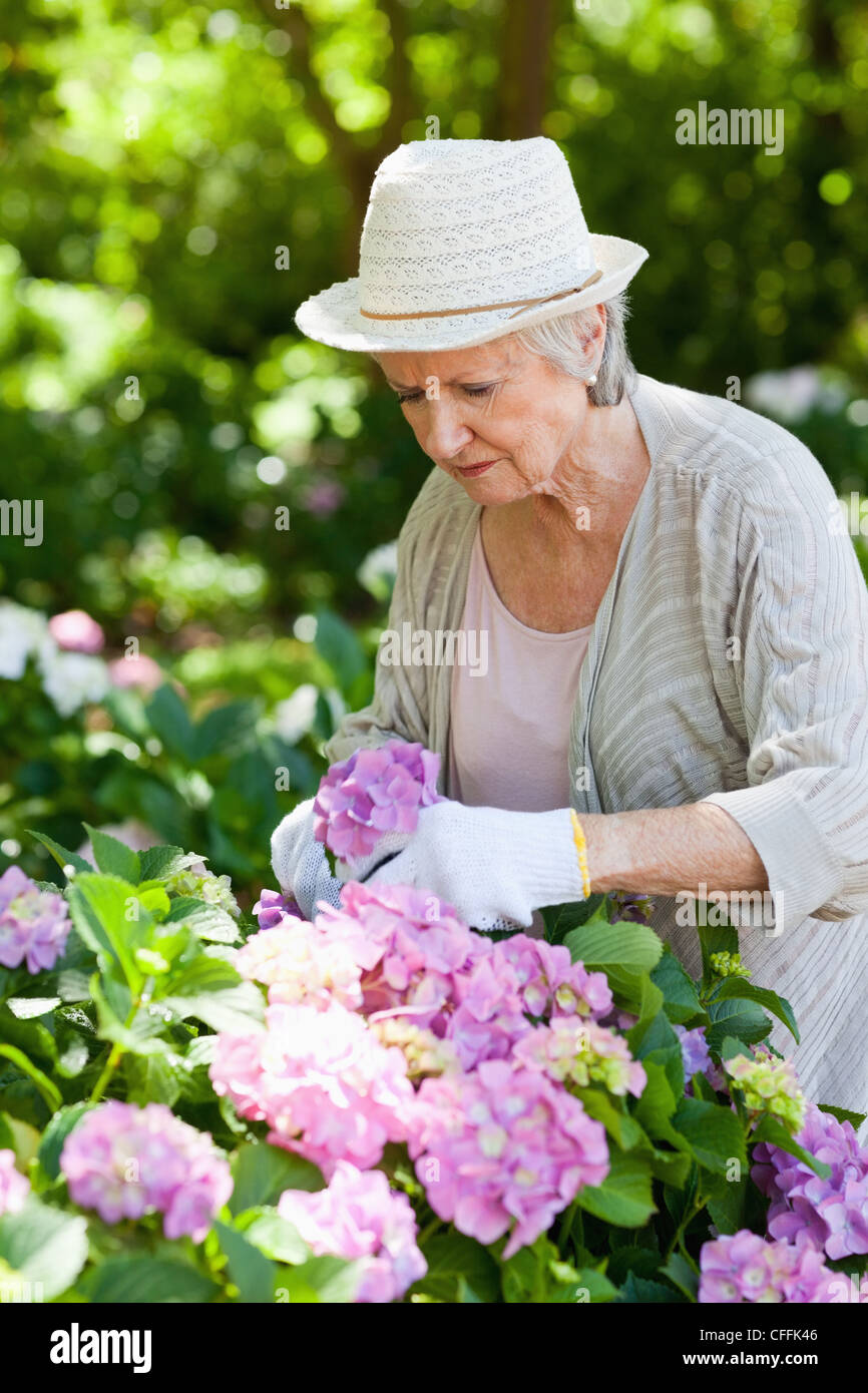 Mature woman gardening she hi-res stock photography and images - Alamy
