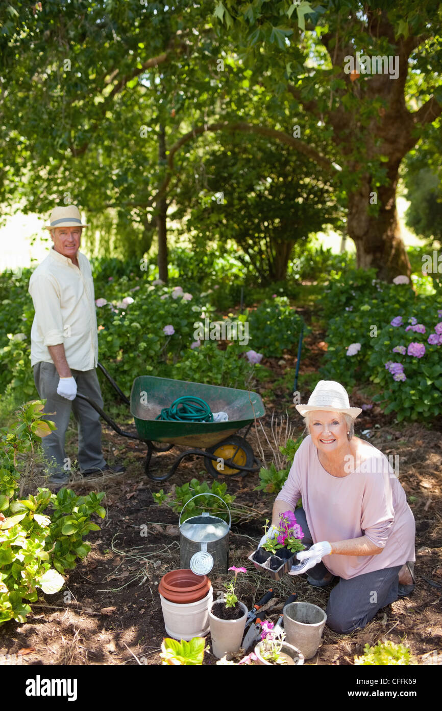 Man holding a wheel barrow while gardening with a woman Stock Photo - Alamy