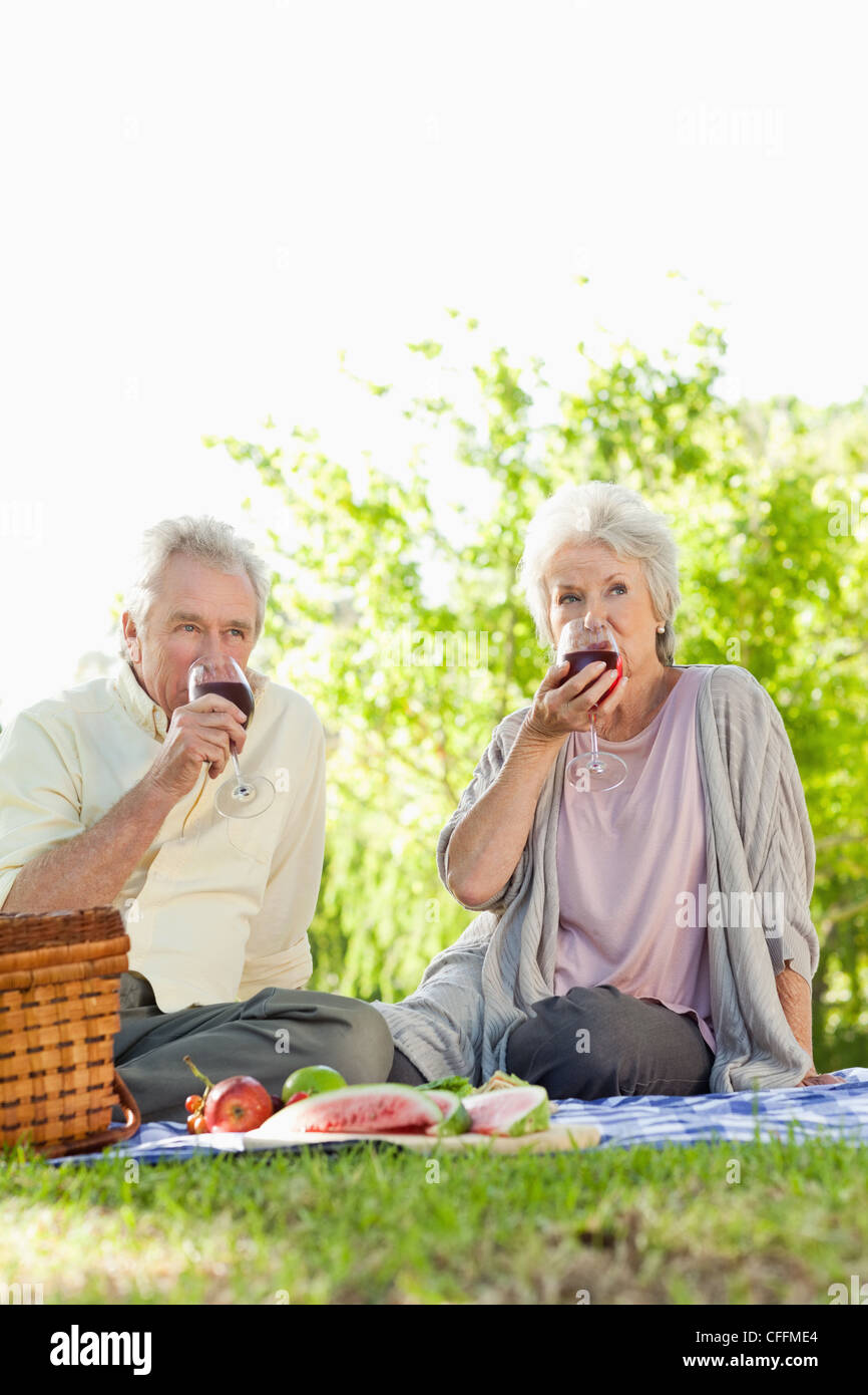 Couple drinking wine during a picnic Stock Photo - Alamy