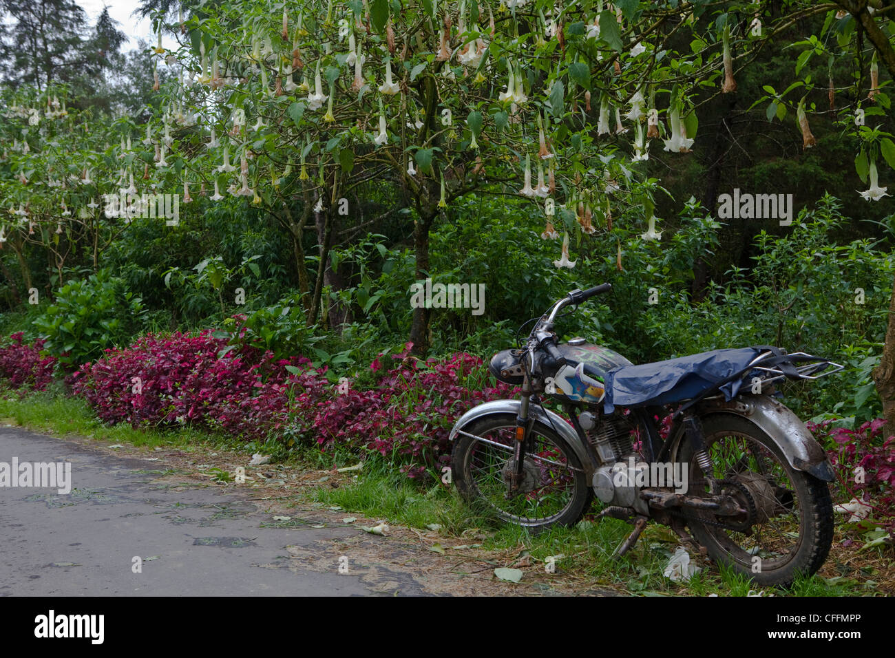 Motorbike on the road after rain. Java, Bali, South Pacific, Indonesia