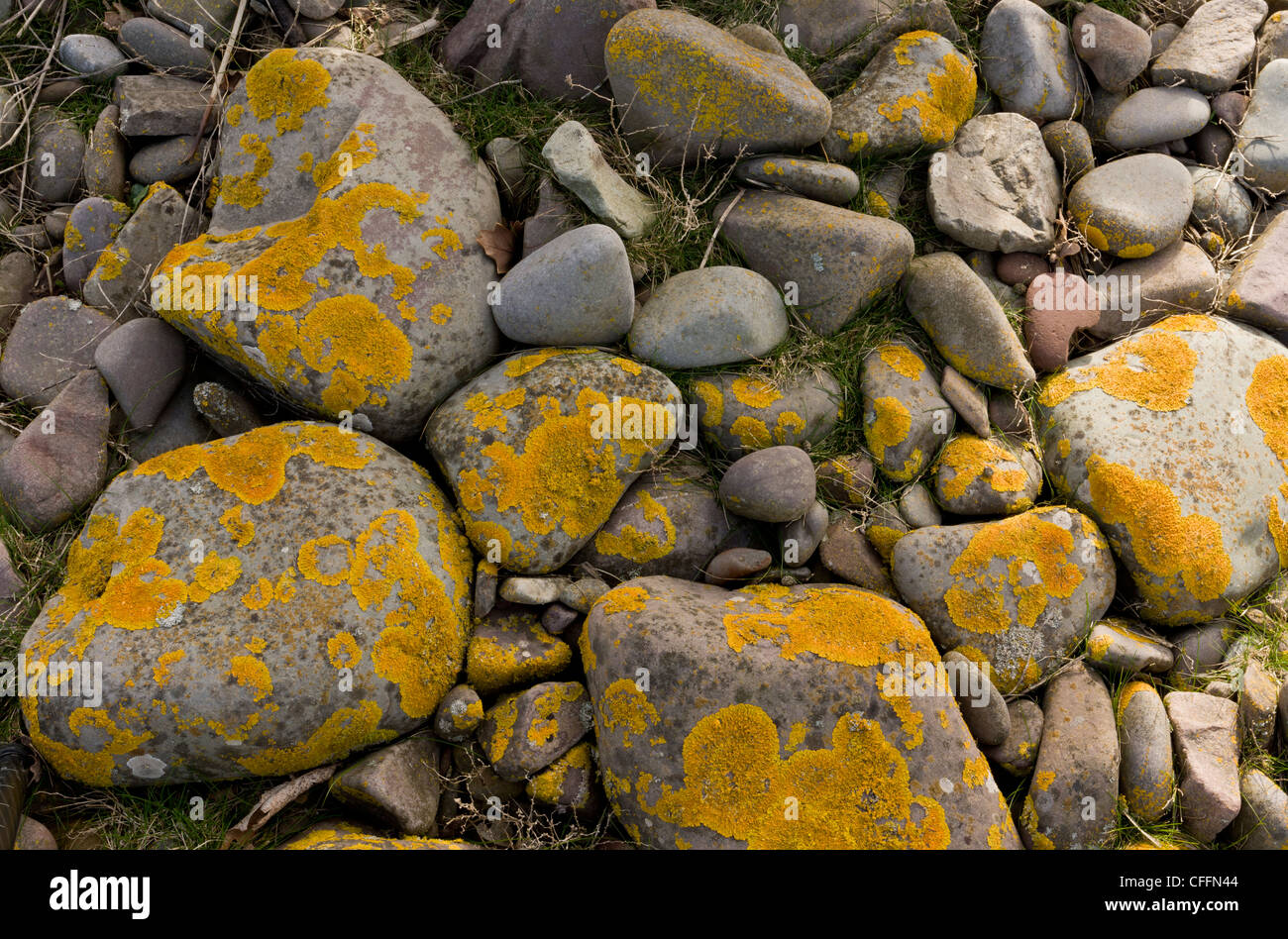 Shingle bank at Porlock Bay, spreading inland as sea levels rise - managed retreat. Exmoor, Somerset. Stock Photo