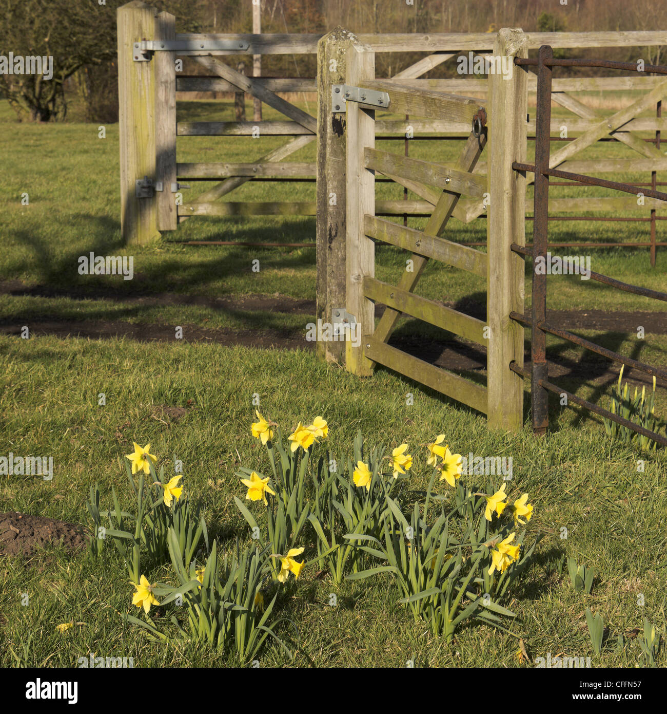 welcombe hills country park stratford upon avon warwickshire Stock Photo