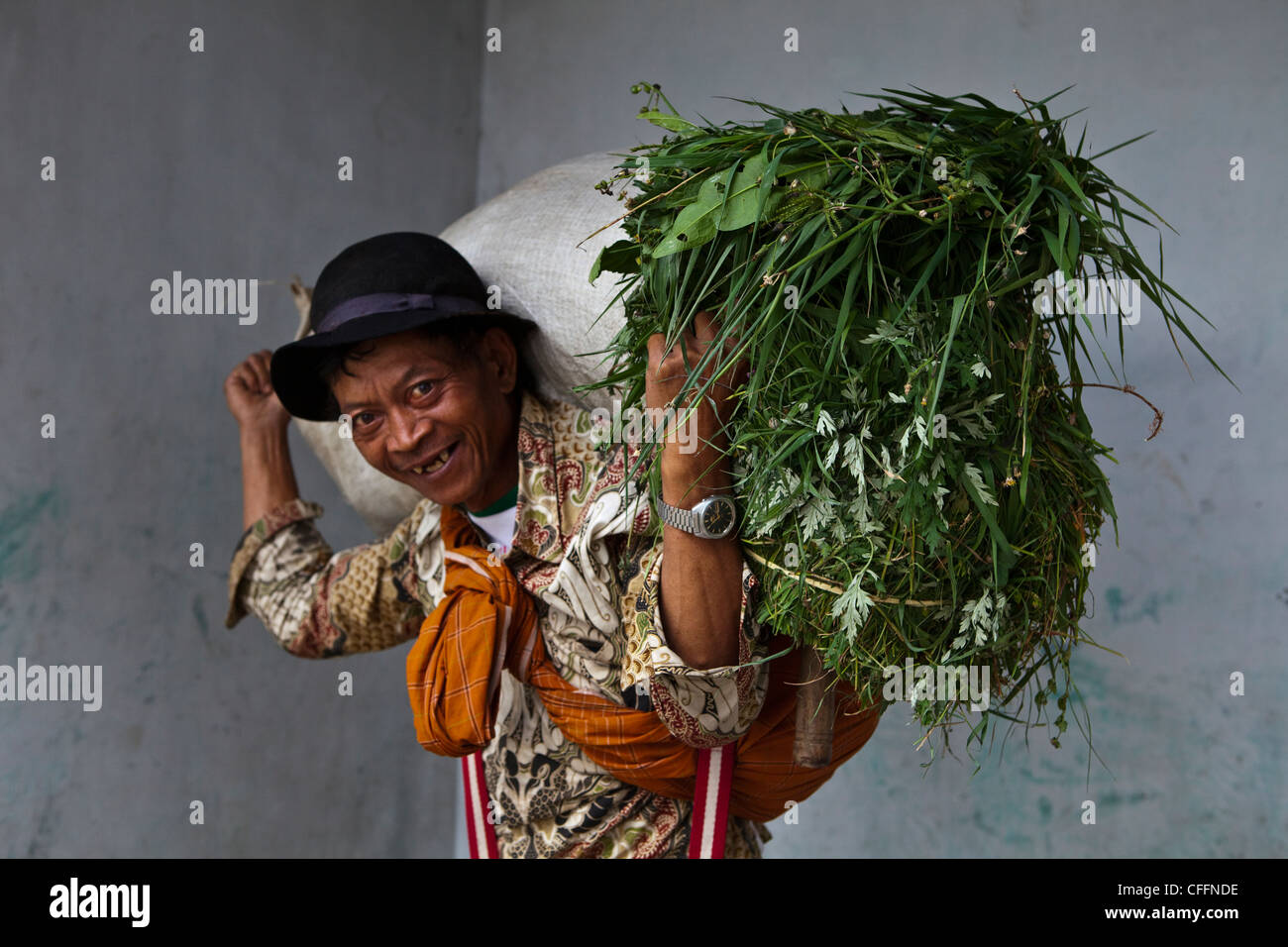 Local People carrying grass and plants in a village of Dieng plateau, Java, Indonesia, Pacific, South Asia Stock Photo