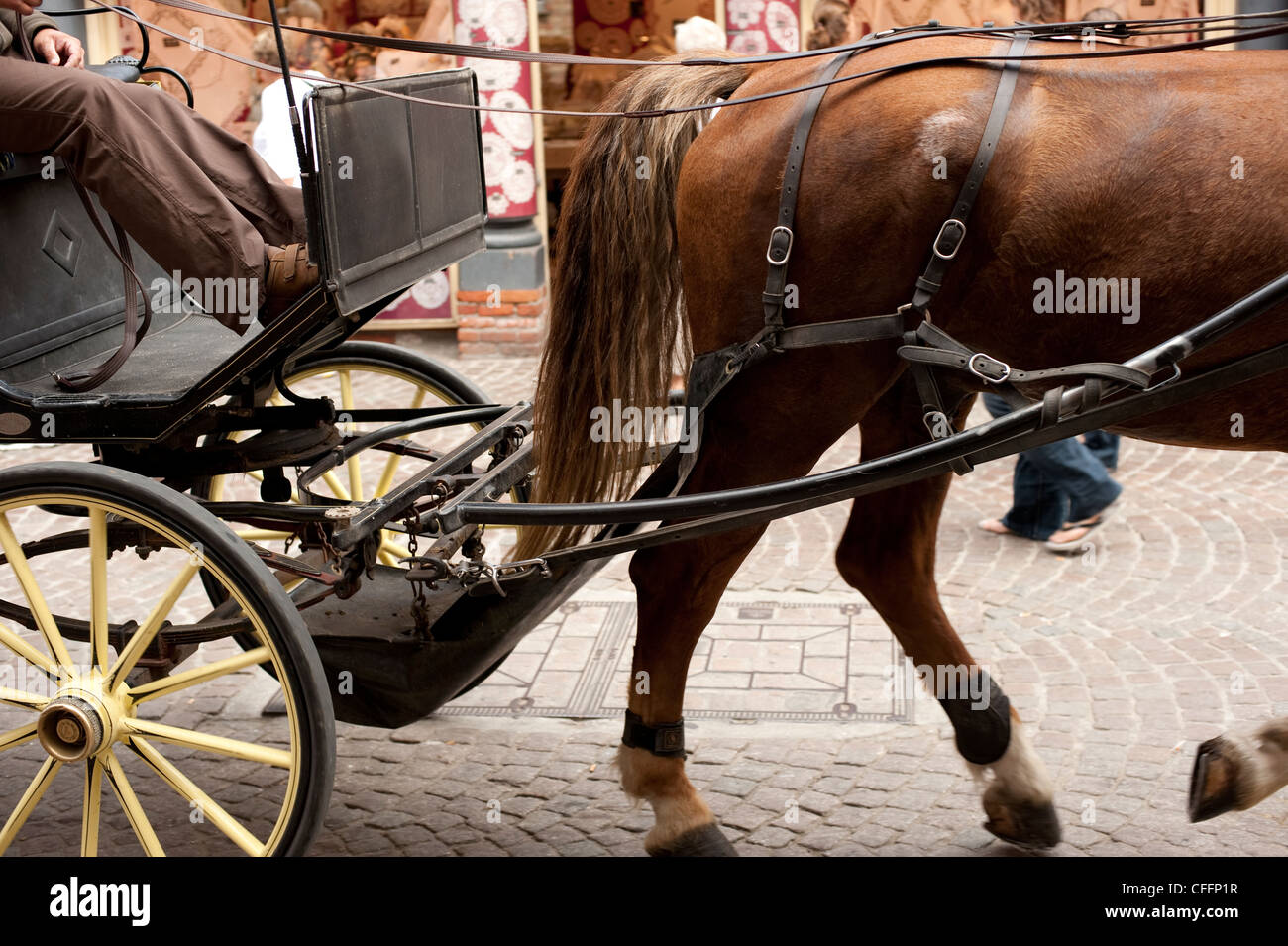 Horse poo hi-res stock photography and images - Alamy