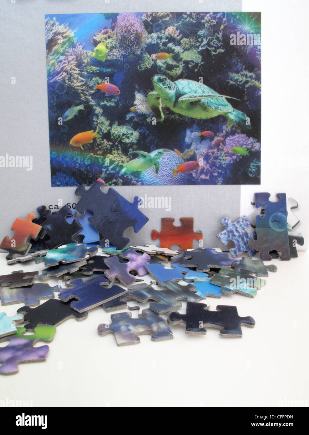 A picture and pieces of a 3D jigsaw puzzle of aquatic life - fish, turtles, terrapin, Stock Photo