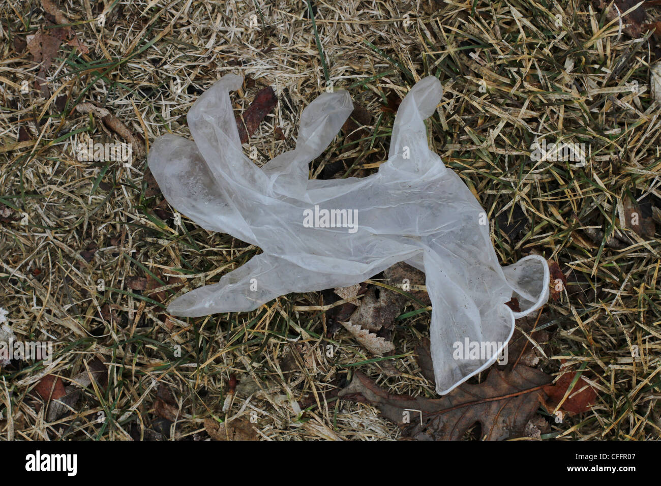 A  discarded latex glove lying on the ground. Stock Photo