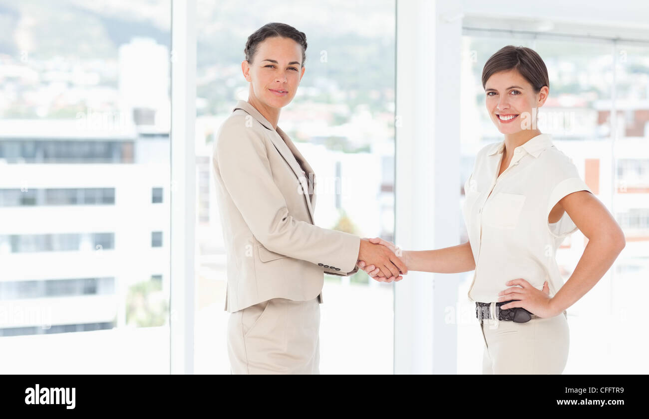 Side view of saleswomen shaking hands Stock Photo