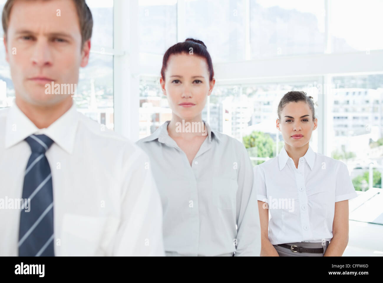 Tradespeople standing in a line Stock Photo