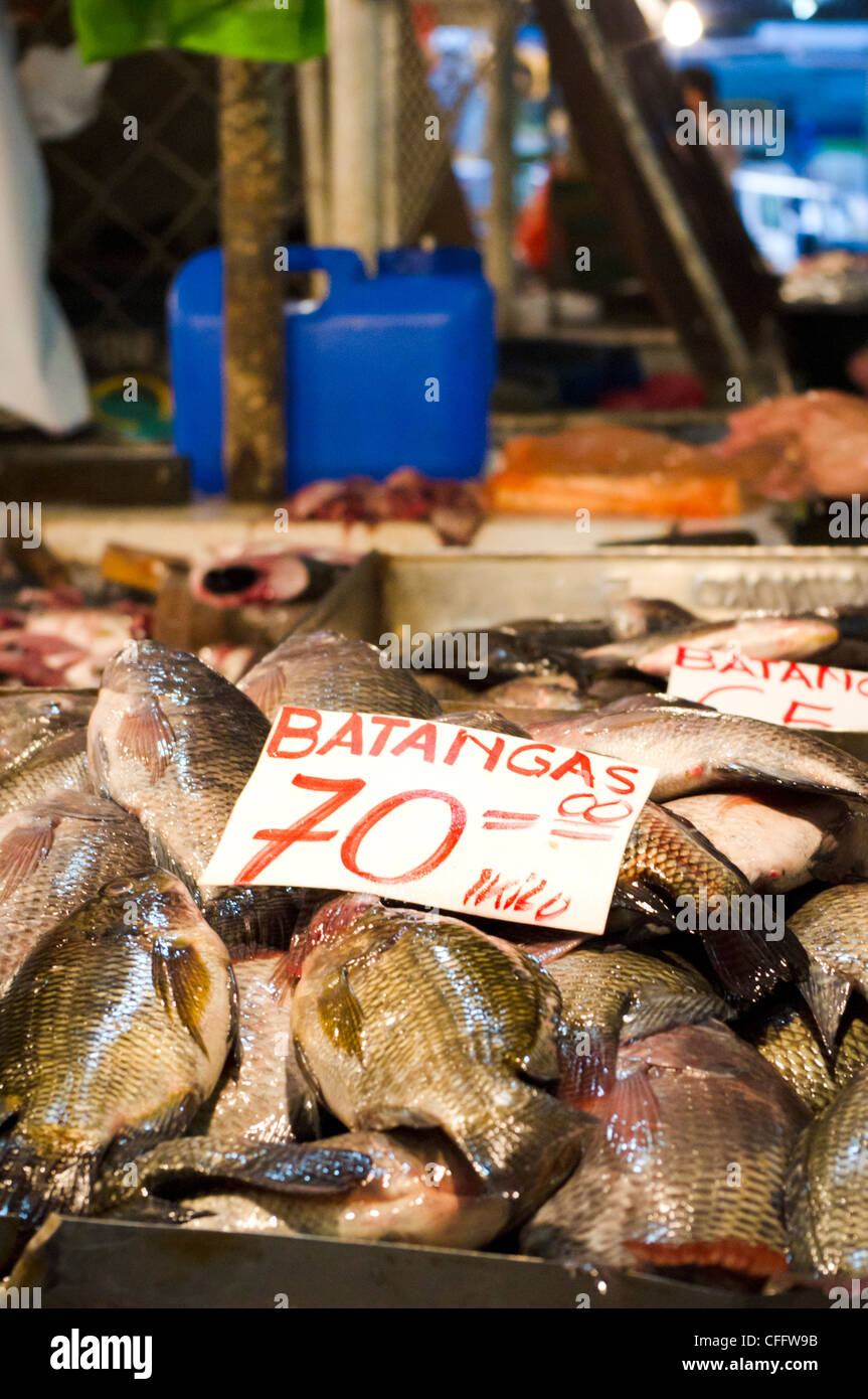 Tilapia for sale hires stock photography and images Alamy