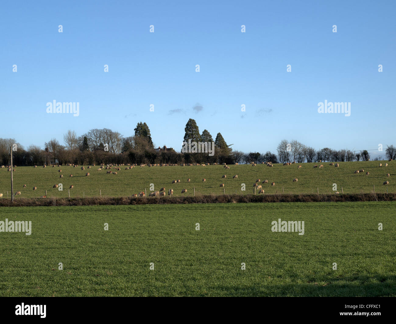 images of england Stock Photo