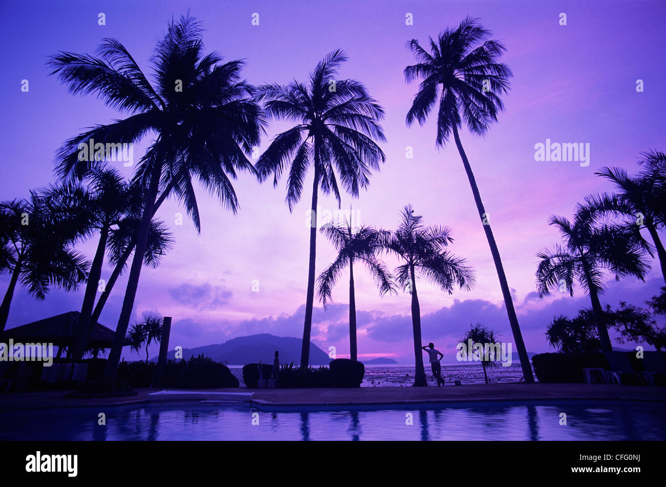 Palm trees sunset tropical hi-res stock photography and images - Alamy