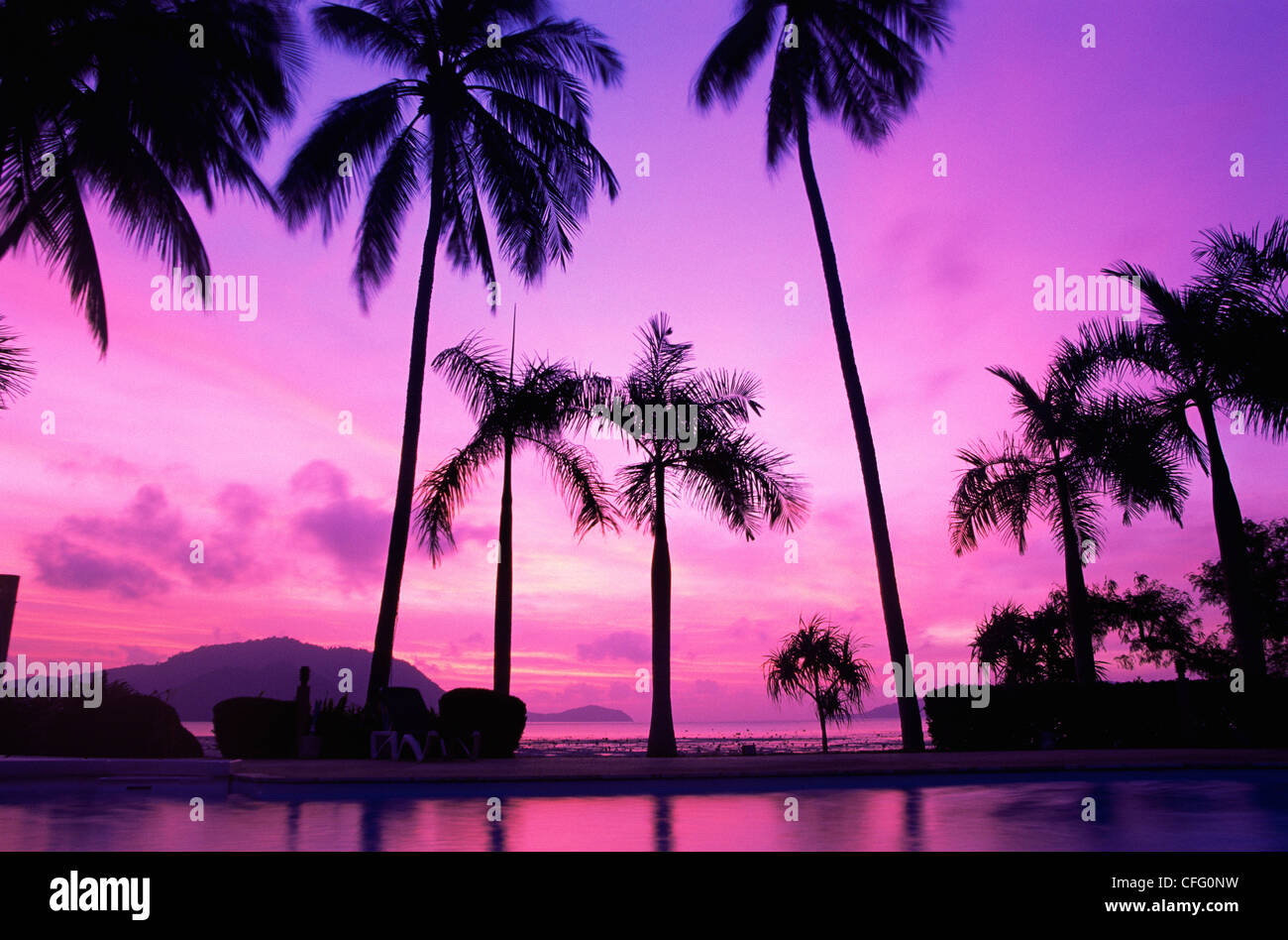 Tropical beach sunset palm trees hi-res stock photography and images ...