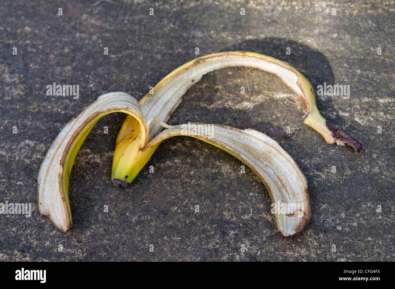 Discarded banana skin left on path taken in Bristol, United Kingdom Stock Photo