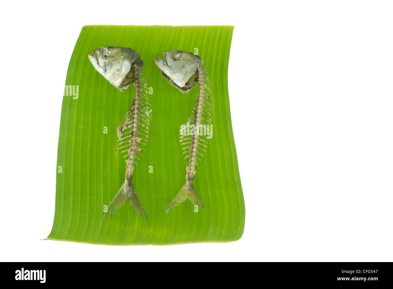 fishes bone on banana leaf Stock Photo