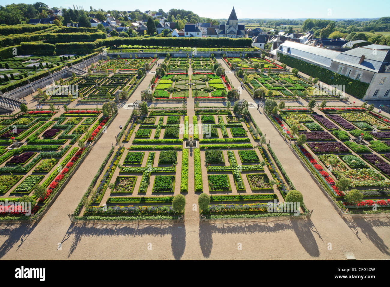 France, Gardens of Villandry castle, the kitchen garden treated like a 'jardin à la française'. Stock Photo