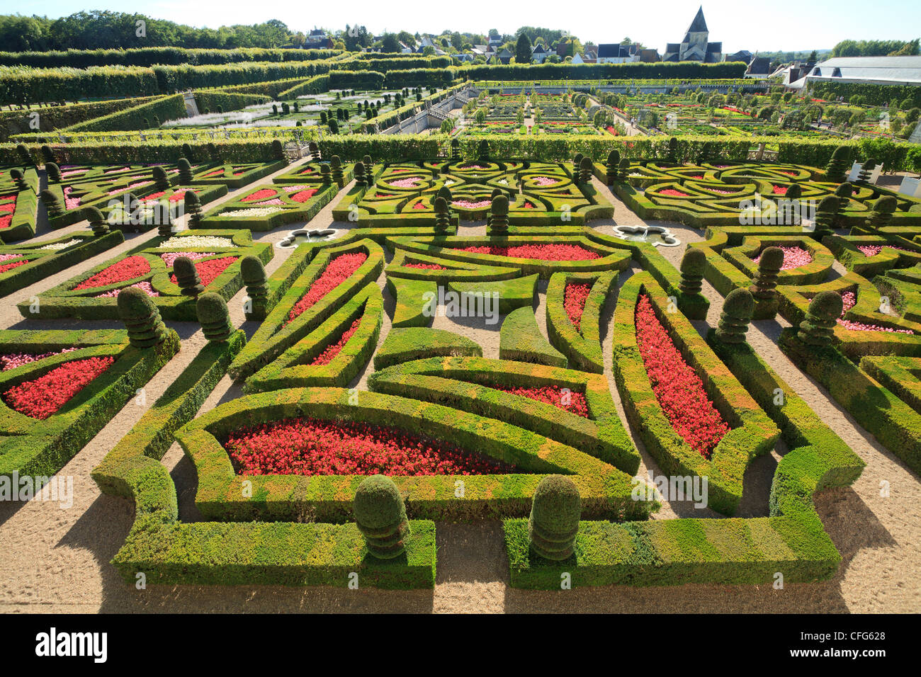 France, Gardens of Villandry castle, in the foreground 'the Garden of Love' (topiary and begonias). Stock Photo