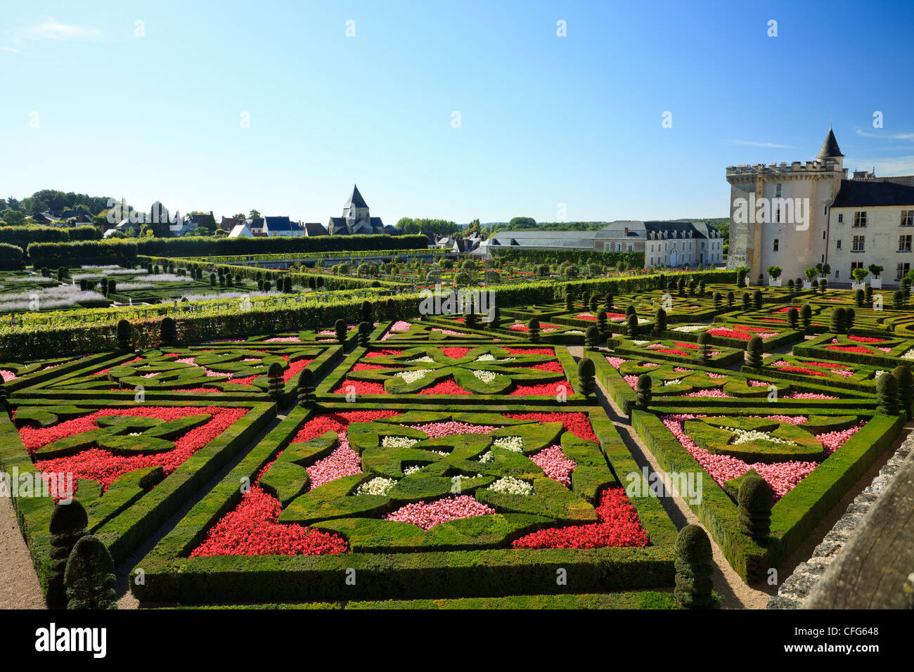 France, Gardens of Villandry castle, in the foreground 'the Garden of Love' (topiary and begonias). Stock Photo