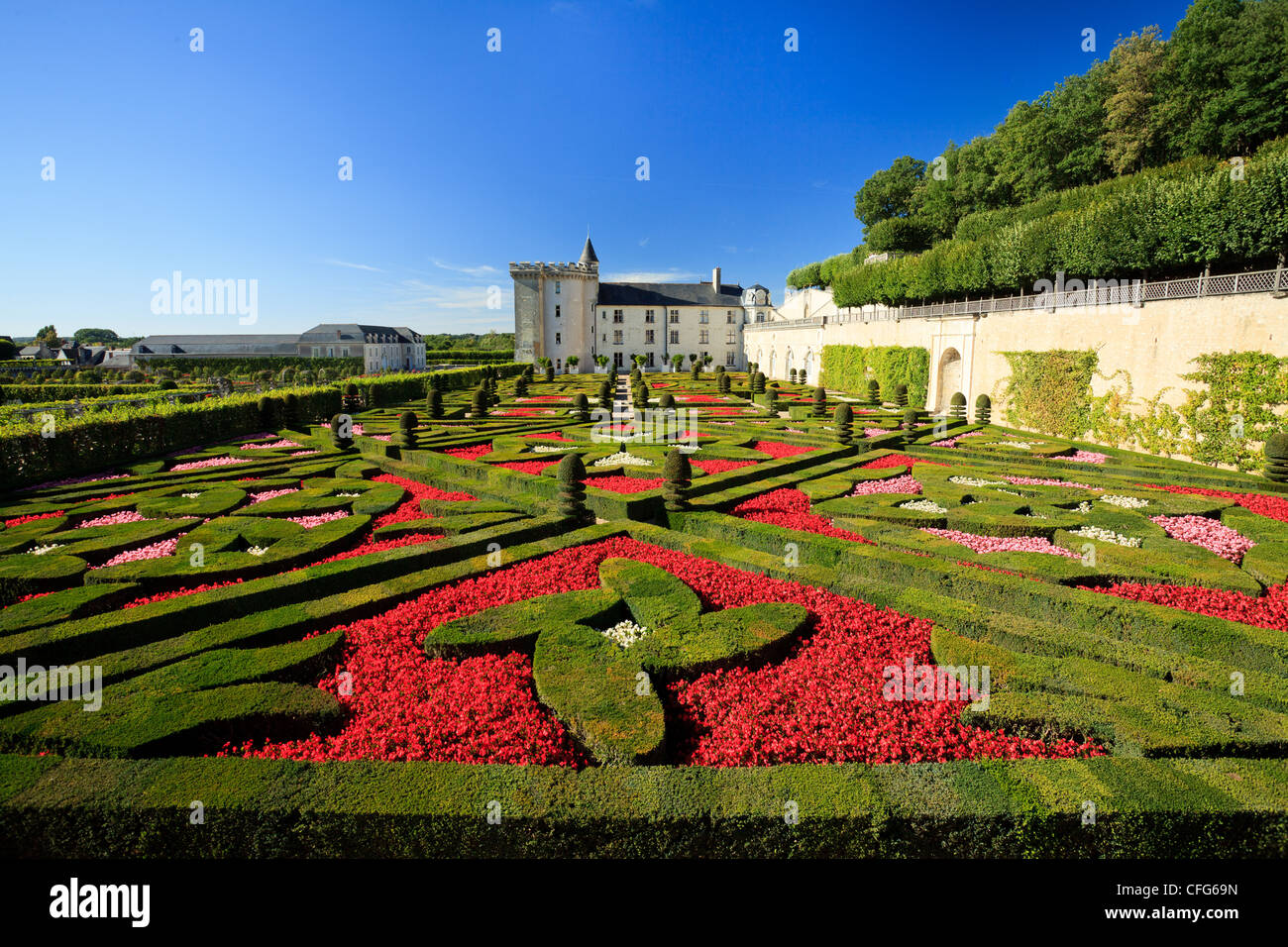 France, Gardens of Villandry castle, in the foreground 'the Garden of Love' (topiary and begonias). Stock Photo