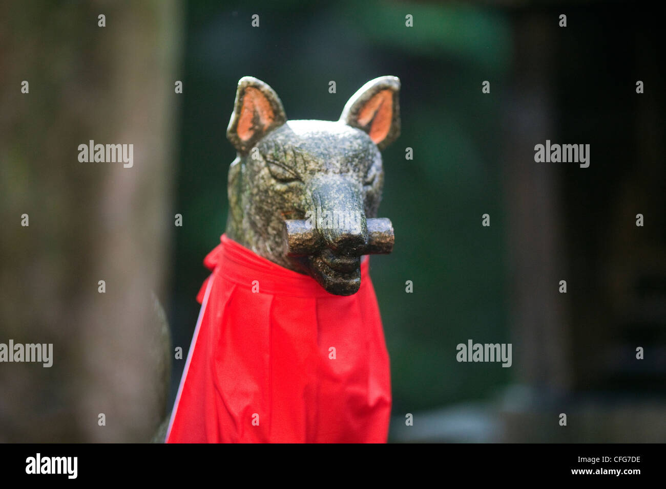 Guarding Dog Statue At Fushimi Inari Taisha Shrine In Kyoto Japan Stock Photo Alamy