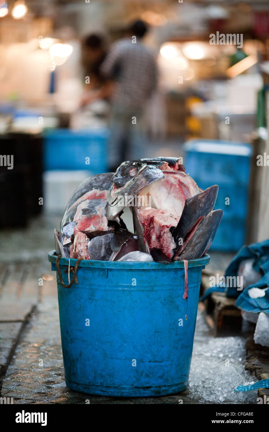 Tokyo fish market, Japan Stock Photo Alamy
