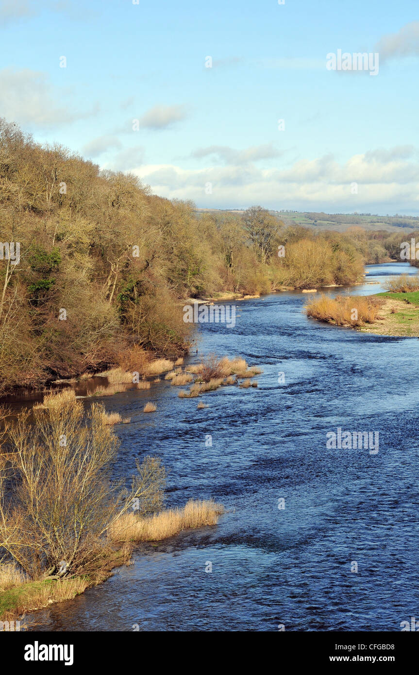 River Wye at Hay on Wye, the world famous Town of Books and the home of the Hay Festival. Photographed in early March. Stock Photo