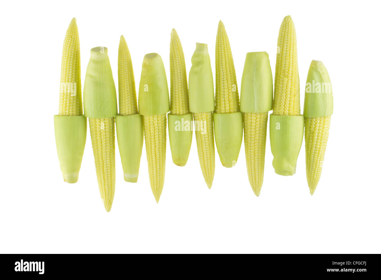 Baby corns isolated on white background Stock Photo