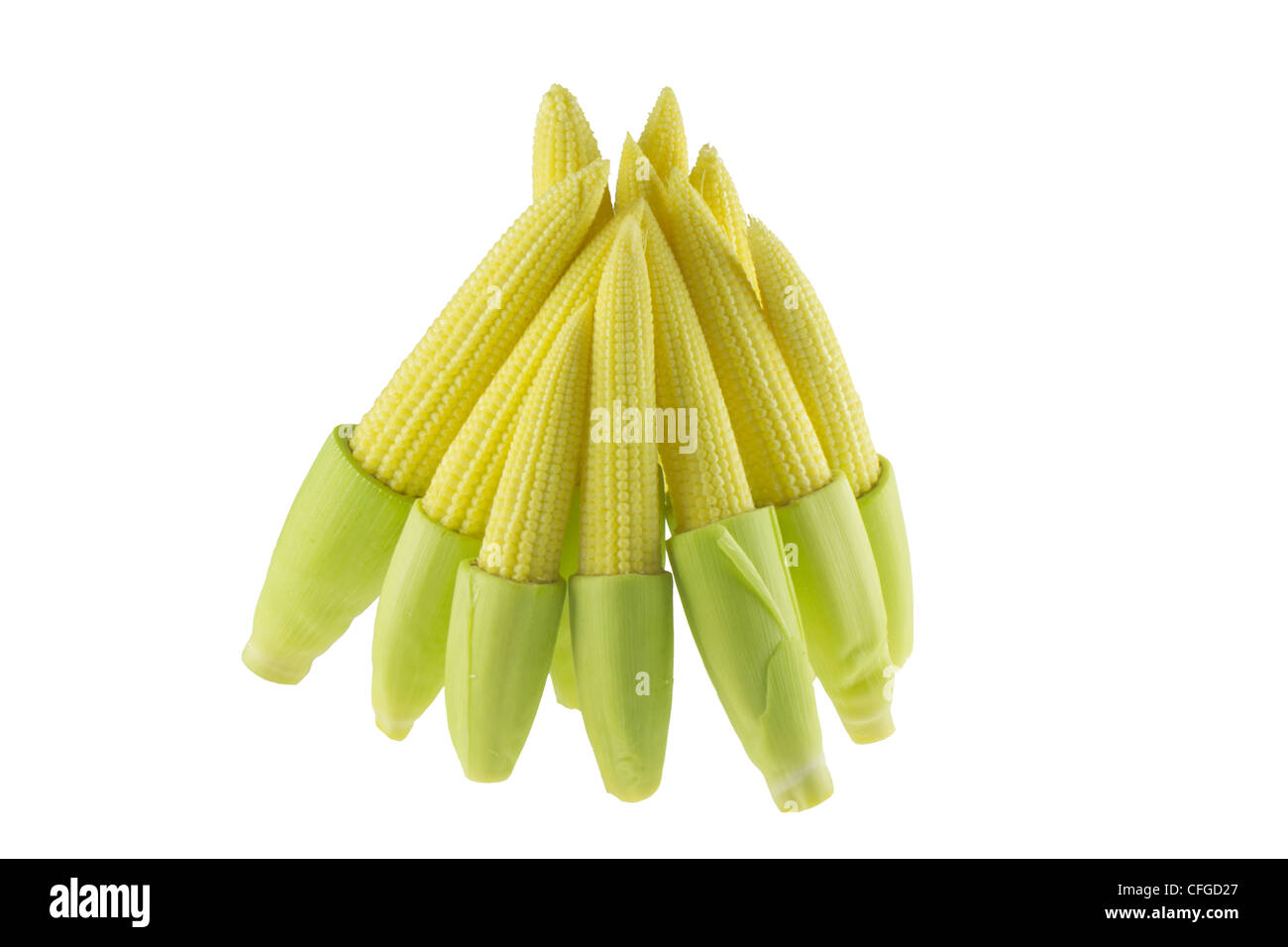 Baby corns isolated on white background Stock Photo
