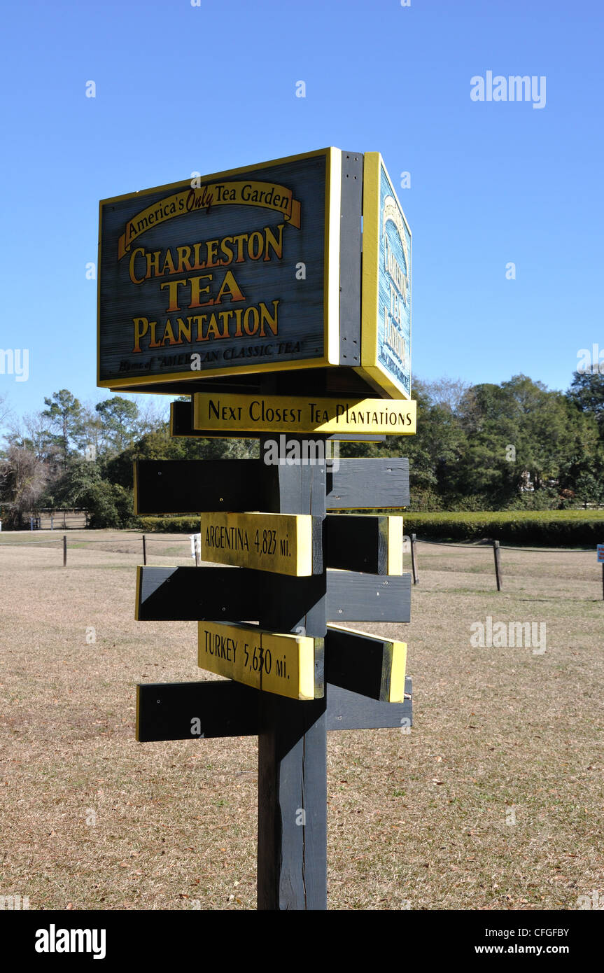The Charleston Tea Plantation, South Carolina the only place in the